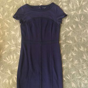 Woman's Purple Ann Taylor Dress